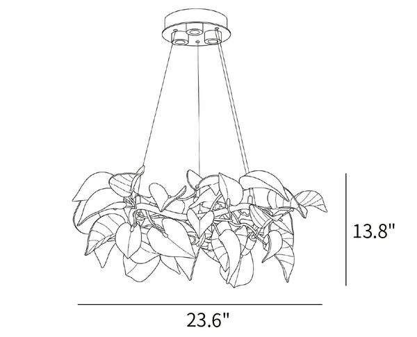 Disegni dimensionali