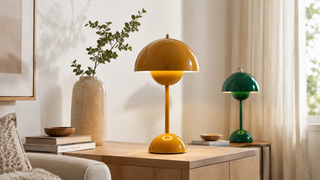 How to Choose the Right Color for a Dopamine Lamp