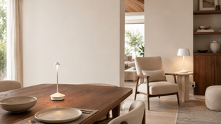 Cordless vs Plug-In Table Lamps: Which One Fits Your Room?