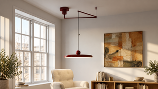 Swing Arm Lights
