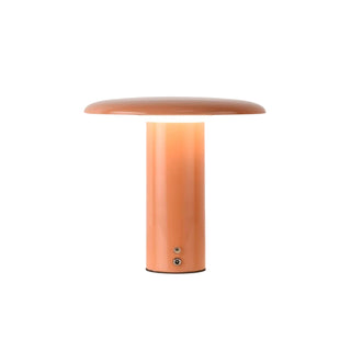 Aeloy Portable Lamp (Built-in Battry)