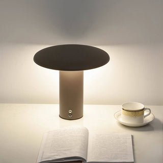 Aeloy Portable Lamp (Built-in Battry)