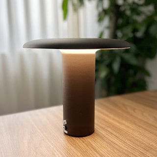Aeloy Portable Lamp (Built-in Battry)
