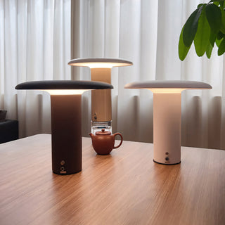 Aeloy Portable Lamp (Built-in Battry)
