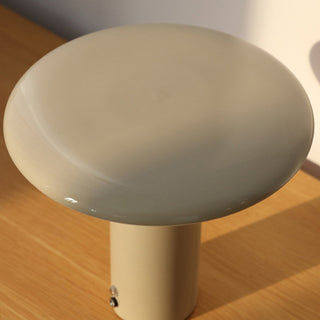 Aeloy Portable Lamp (Built-in Battry)