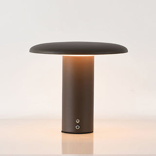 Aeloy Portable Lamp (Built-in Battry)
