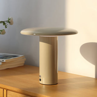Aeloy Portable Lamp (Built-in Battry)