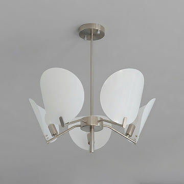 5 heads: D 23.6″ x H 10.2″ / D 60cm x H 26cm