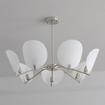 7 heads: D 31.5″ x H 9.8″ / D 80cm x H 25cm