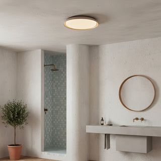 Aureum Edge Ceiling Light