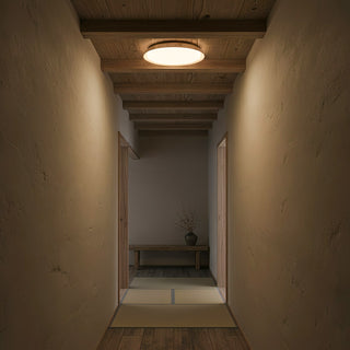 Aureum Edge Ceiling Light