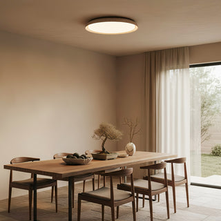 Aureum Edge Ceiling Light