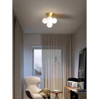 Axis Variation Ceiling Lamp