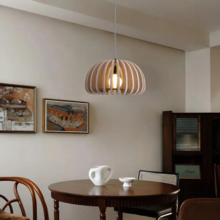 Birdcage Acoustic Pendant Lamp