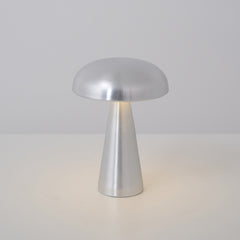 Aluminum Color