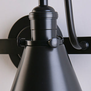 Cellmn Double Gooseneck Sconce