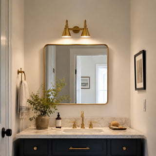 Cellmn Double Gooseneck Sconce
