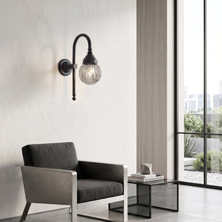 Crystal Gooseneck Sconce