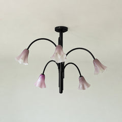 Black & Light Purple