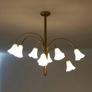 Evangeline Lily Chandelier