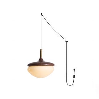Humboldt Vintage Plug-in Swag Light