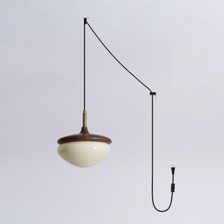 Humboldt Vintage Plug-in Swag Light