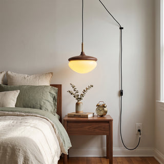 Humboldt Vintage Plug-in Swag Light