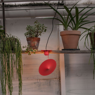 Ile Adjustable Table Lamp