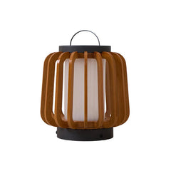 Couleur bois (Bois de Teck)