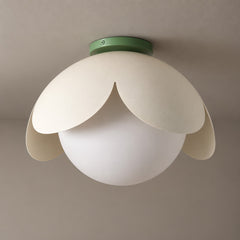 Sage Green & Cream White & White