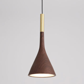 Luminook Pendant Lamp