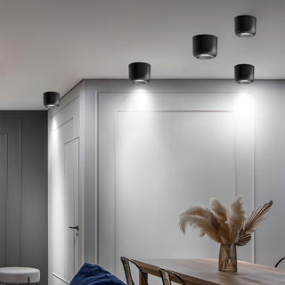 Mawa Cavity Ceiling Light