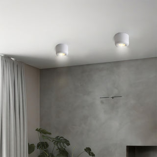Mawa Cavity Ceiling Light