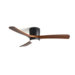 Miyam Kylo Ceiling Fan Light