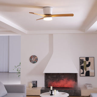 Miyam Kylo Ceiling Fan Light
