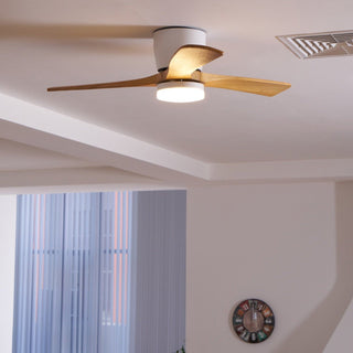 Miyam Kylo Ceiling Fan Light