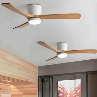 Miyam Kylo Ceiling Fan Light
