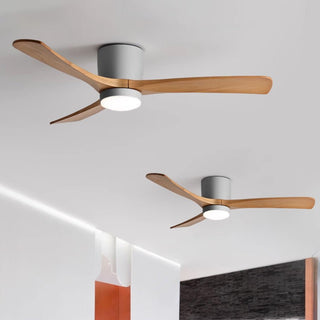 Miyam Kylo Ceiling Fan Light