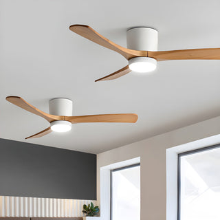 Miyam Kylo Ceiling Fan Light