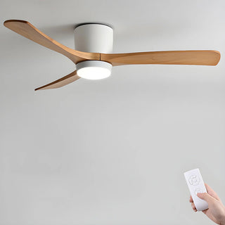 Miyam Kylo Ceiling Fan Light