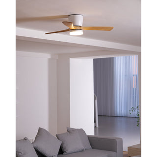 Miyam Kylo Ceiling Fan Light
