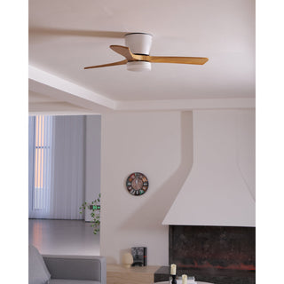 Miyam Kylo Ceiling Fan Light