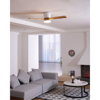 Miyam Kylo Ceiling Fan Light