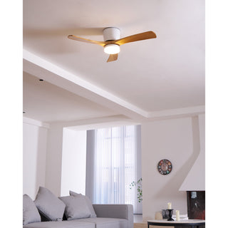 Miyam Kylo Ceiling Fan Light