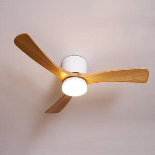 Miyam Kylo Ceiling Fan Light