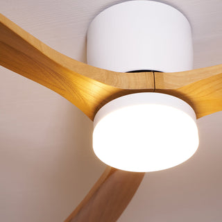 Miyam Kylo Ceiling Fan Light