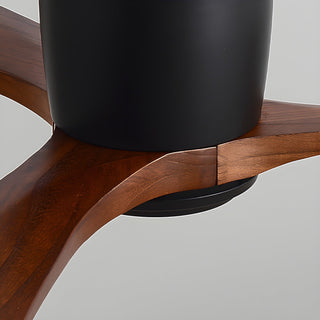 Miyam Kylo Ceiling Fan Light