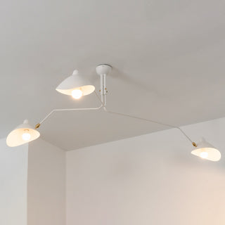 Multi-Arm Spider Ceiling Light