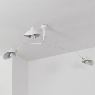 Multi-Arm Spider Ceiling Light