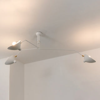 Multi-Arm Spider Ceiling Light